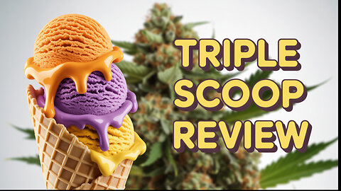 3 Scoops, No Chill 😌🍨 | Triple Scoop Hemp Review by JK Distro