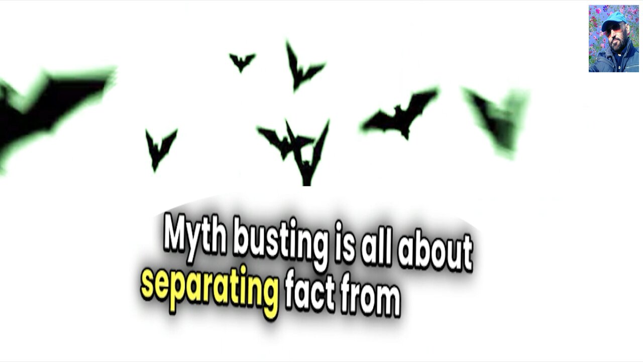 Busting Myths: Truth vs. Fiction!