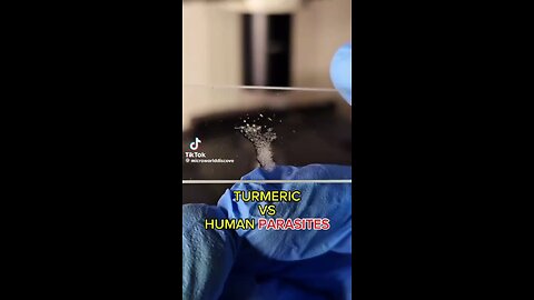 Did you know that Turmeric is an anti-parasitic?