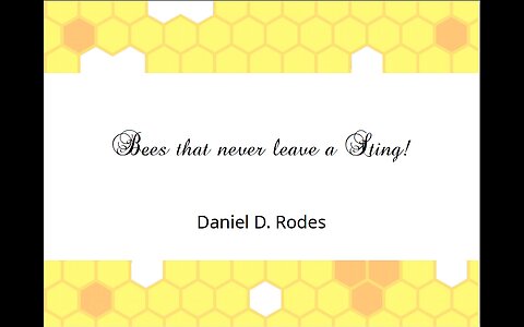 Bees that never leave a Sting - September 23