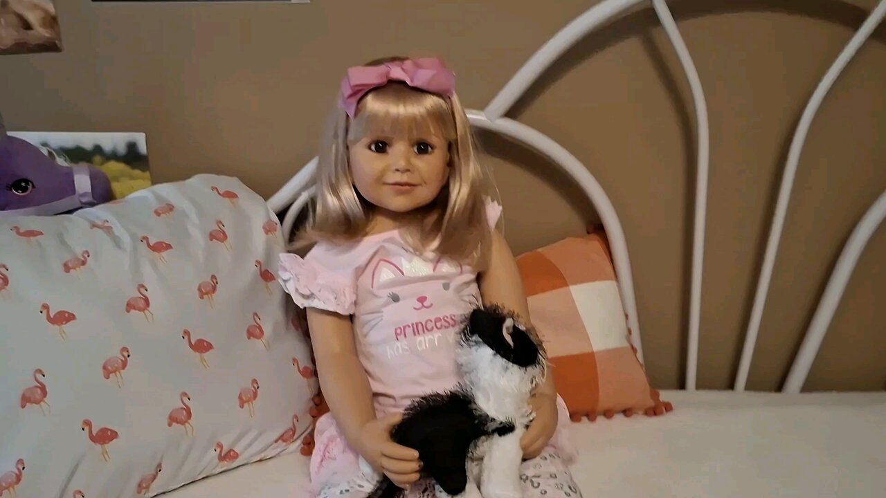 Why Do I Collect Dolls & Roleplay?
