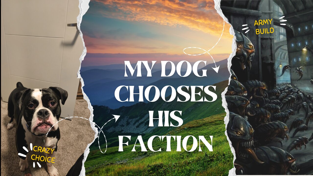 My Dog Decides His Warhammer Army!