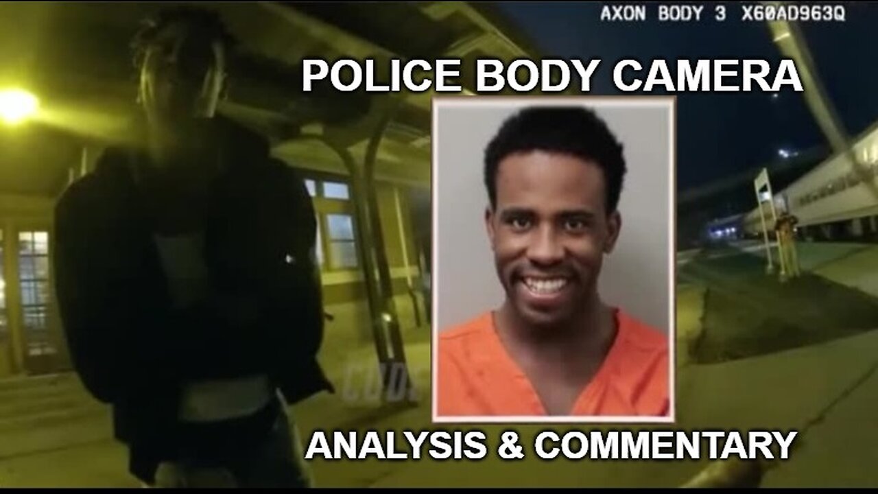 National Fugitive Black Kid Diddler Arrest Shit Show. Fight On Train Tracks