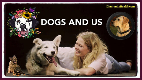 🎬 🐶 Documentary: 'Dogs & Us - The Secret of a Friendship' 🐾 Dogs are the Embodiment of True Friendship and Loyalty ❤️