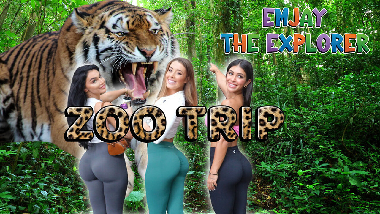 They Weren’t Ready for This Wild Zoo Encounter 🐅😱 | Palm Beach Zoo Gone Crazy!