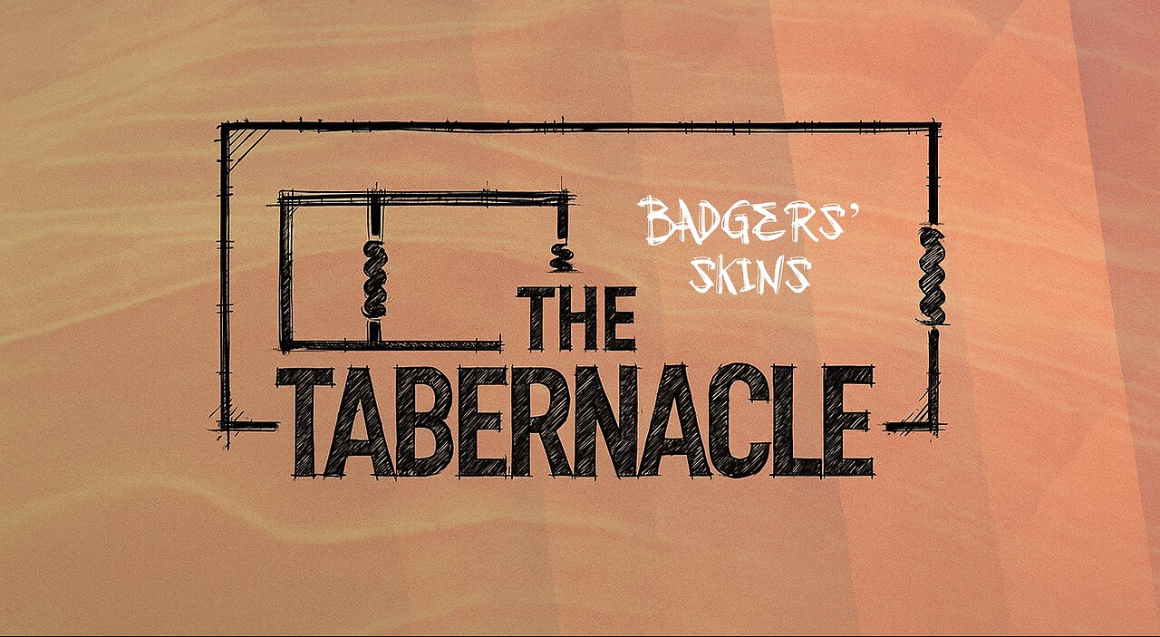 Badgers Skin