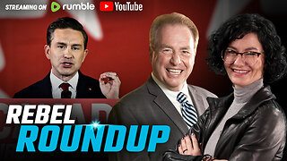 Poilievre backs Castle Law, Mass immigration continues, Crime surge in Toronto | Rebel Roundup