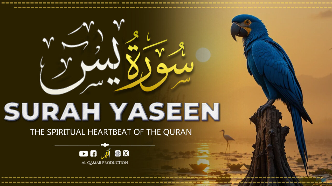 Surah Yaseen | Soothing & Emotionally Deep Quran Recitation