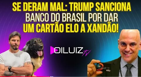 ACABOU A PACIÊNCIA: Trump sanciona Banco do Brasil por dar um cartão Elo a Xandão!