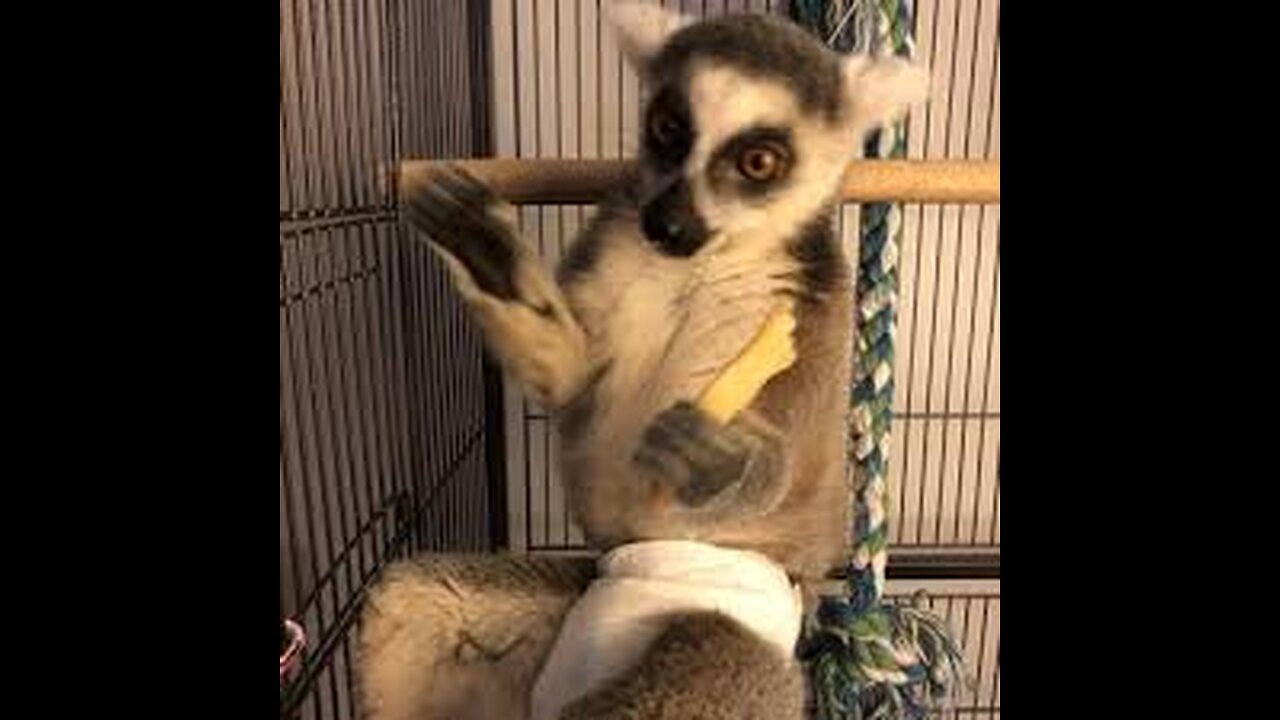 MORE TAX PAYER DOLLARS THROWN AWAY