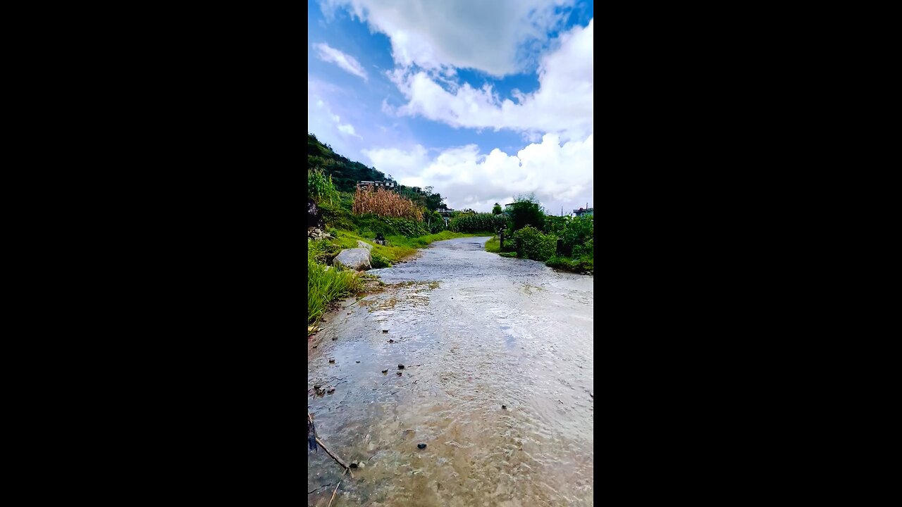 Summer
