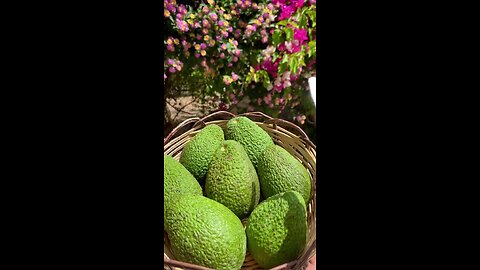 avocado 🥑🥑 #reels #videob#shorts