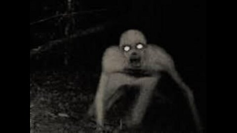 High Strange Encounters
