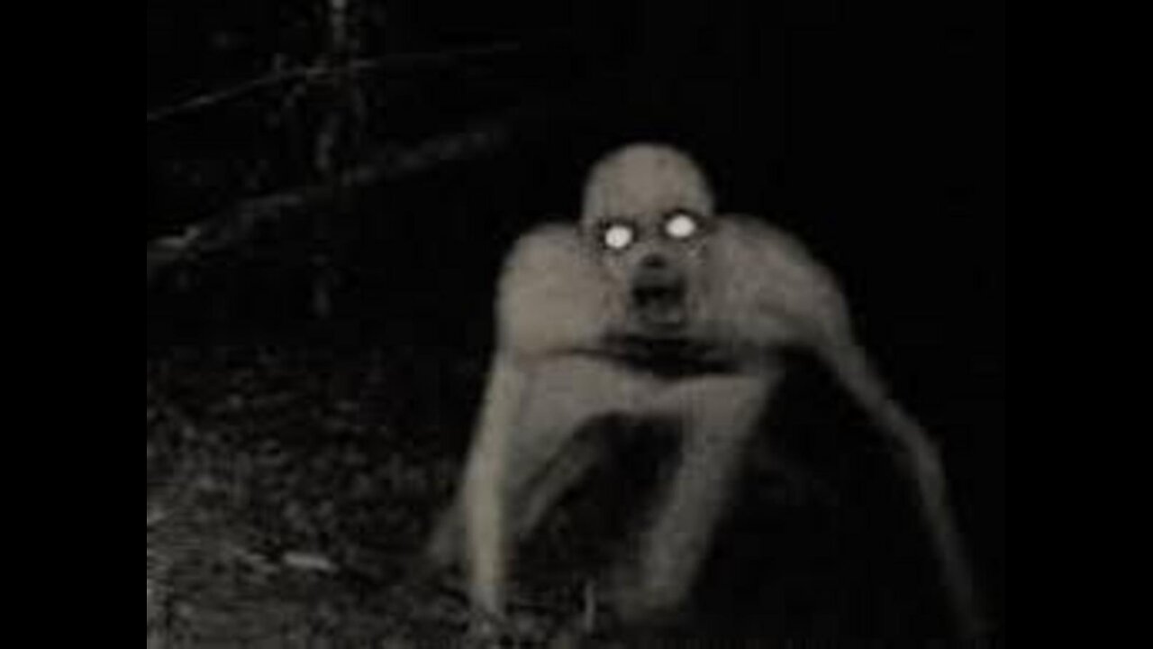High Strange Encounters