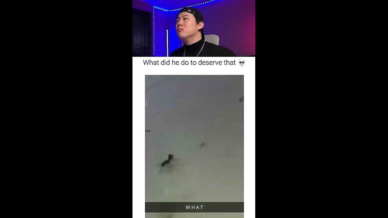 Try not to laugh -3