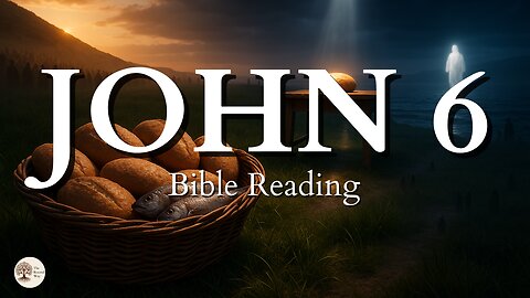 Book of John Chapter 6 | Peaceful Bible Gospel Audio Reading for Stillness and Scripture Meditation