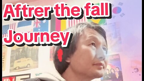 Sing) After the fall/ Journey (Short cover)