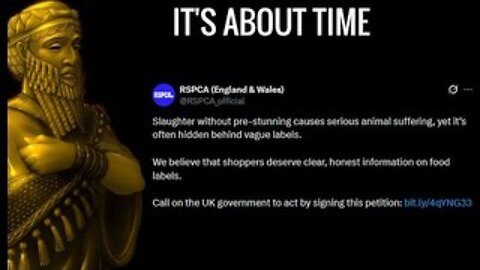 The RSPCA Joins the Fight