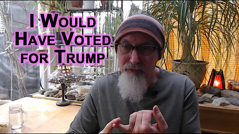 I Would Have Voted for Trump if I Was in the United States of America: US Elections, Democrats