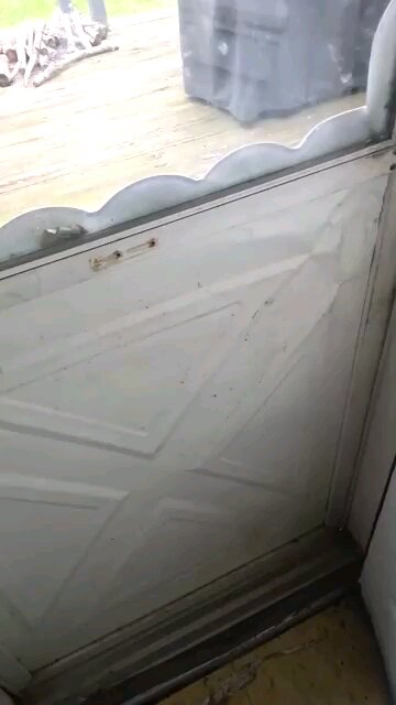 walking In Our Backyard