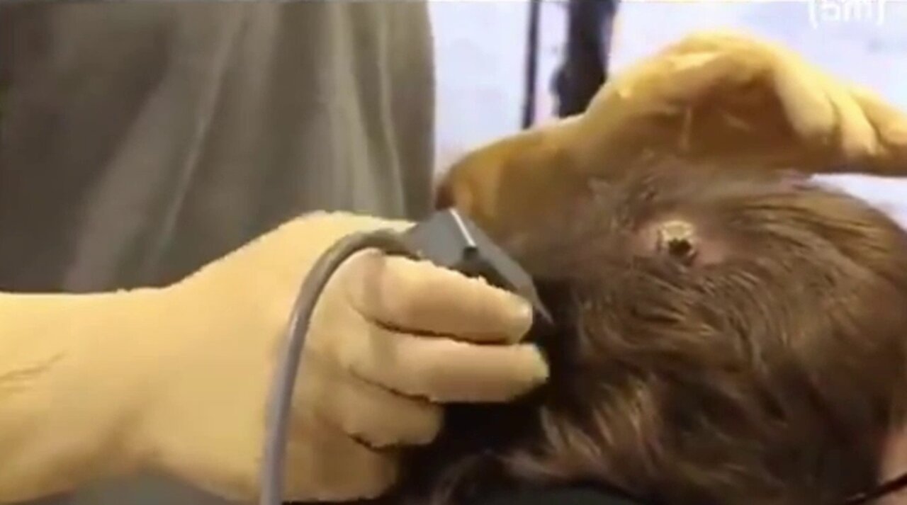 DARPA's Project Pandora: Micro Wave Tech and mRNA Mind Control