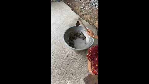 Playing with Crabs 🦀 | Fun & Nature Vibes | Crab Shorts #shorts