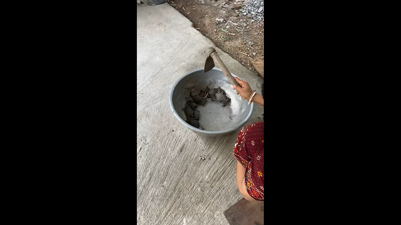 Playing with Crabs 🦀 | Fun & Nature Vibes | Crab Shorts #shorts