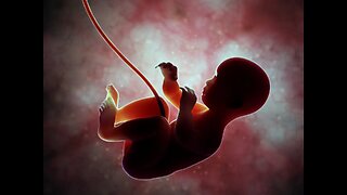 Womb of Shadows: Hidden Lining Defect Sabotaging Pregnancies