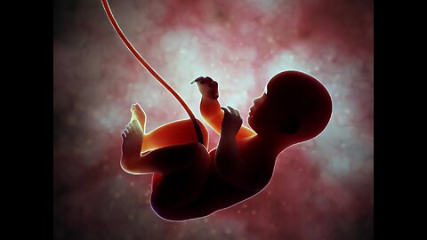 Womb of Shadows: Hidden Lining Defect Sabotaging Pregnancies