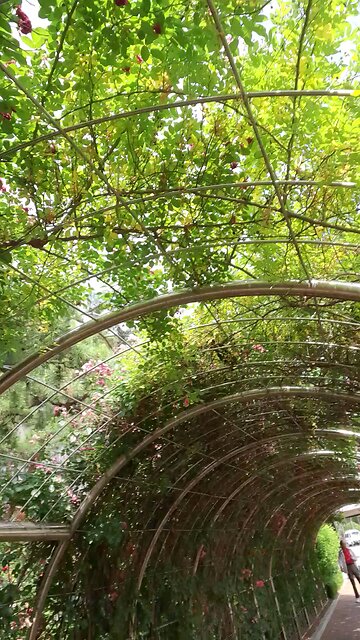 20250609. God with South Korea.