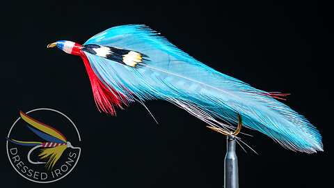 Tying the Victory - Dressed Irons