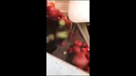 TOMATOES SORTING MACHINE