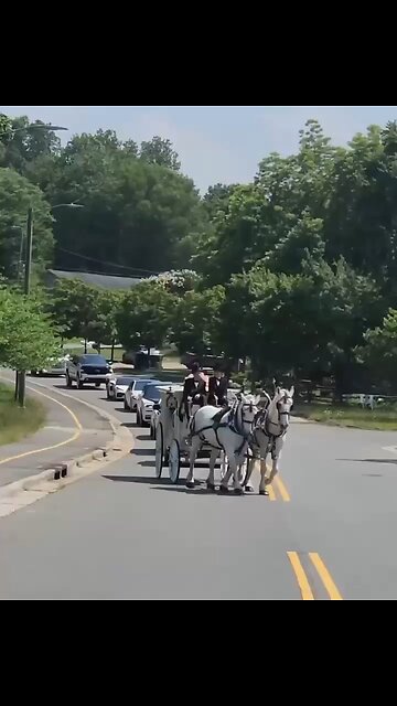 ILLUMINATI BILLIONAIRE FRATERNITY 🔺🧿🔺