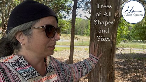 Ada Alien Queen • Call Me Ada • Take # 00034 • Trees of All Shapes and Sizes