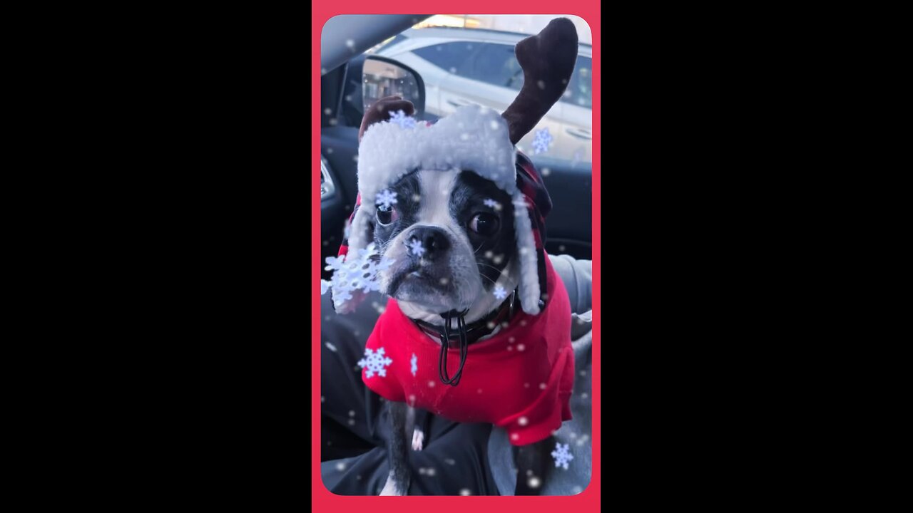 🎄🇺🇸🎄MERRY CHRISTMAS !!!🎄🇺🇸🎄