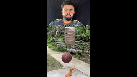 This hen proofs us wrong