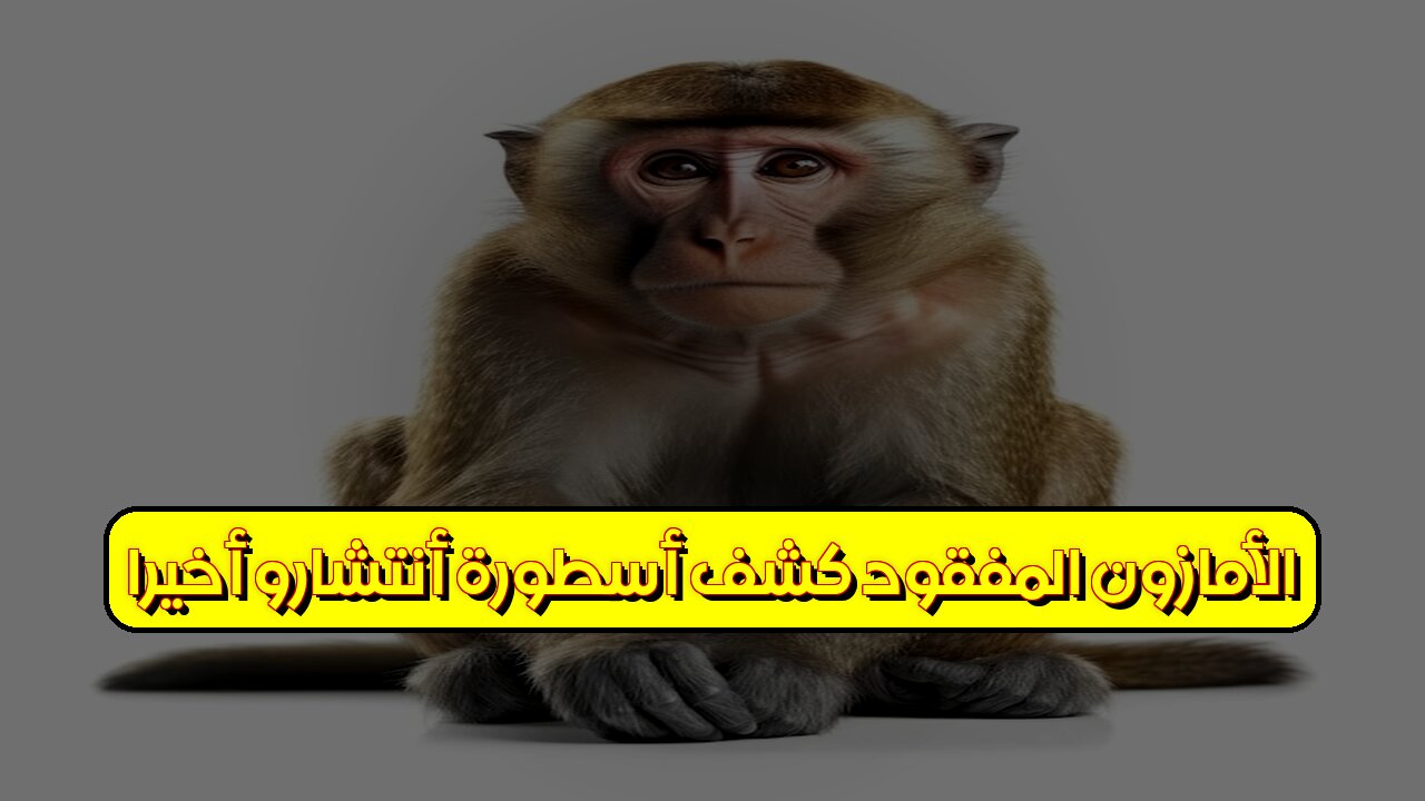 الأمازون المفقود: كشف أسطورة "أنتشارو" أخيرًا ! #الأمازون #أنتشارو #اكتشاف