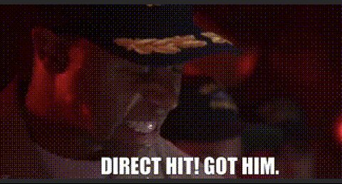 DIRECT HIT: Stopped in his tracks!