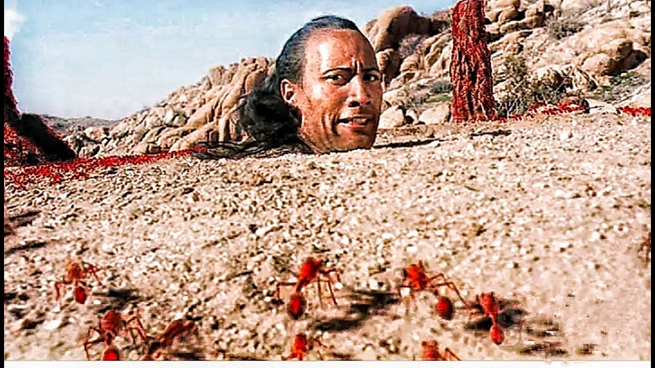 All fight scenes Scorpion Evo