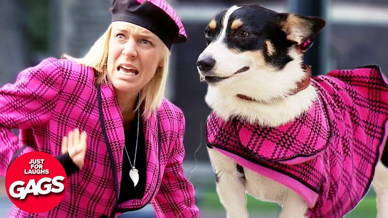 White People Energy Pranks 😵‍💫 Just For Laughs Gags