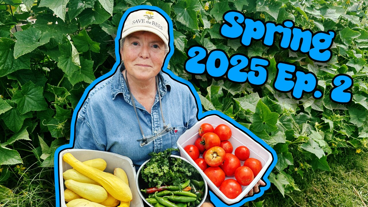 2025 Ep.2: "Spring Harvest Fever" 🥵 🌶️ 🌱