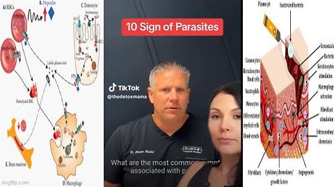 DOCTOR EXPLAINS TEN 🦠 SIGNS OF PARASITES