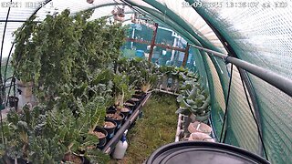 Greenhouse 1 Timeplapse Ending 22-10-2025
