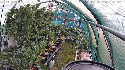 Greenhouse 1 Timeplapse Ending 22-10-2025