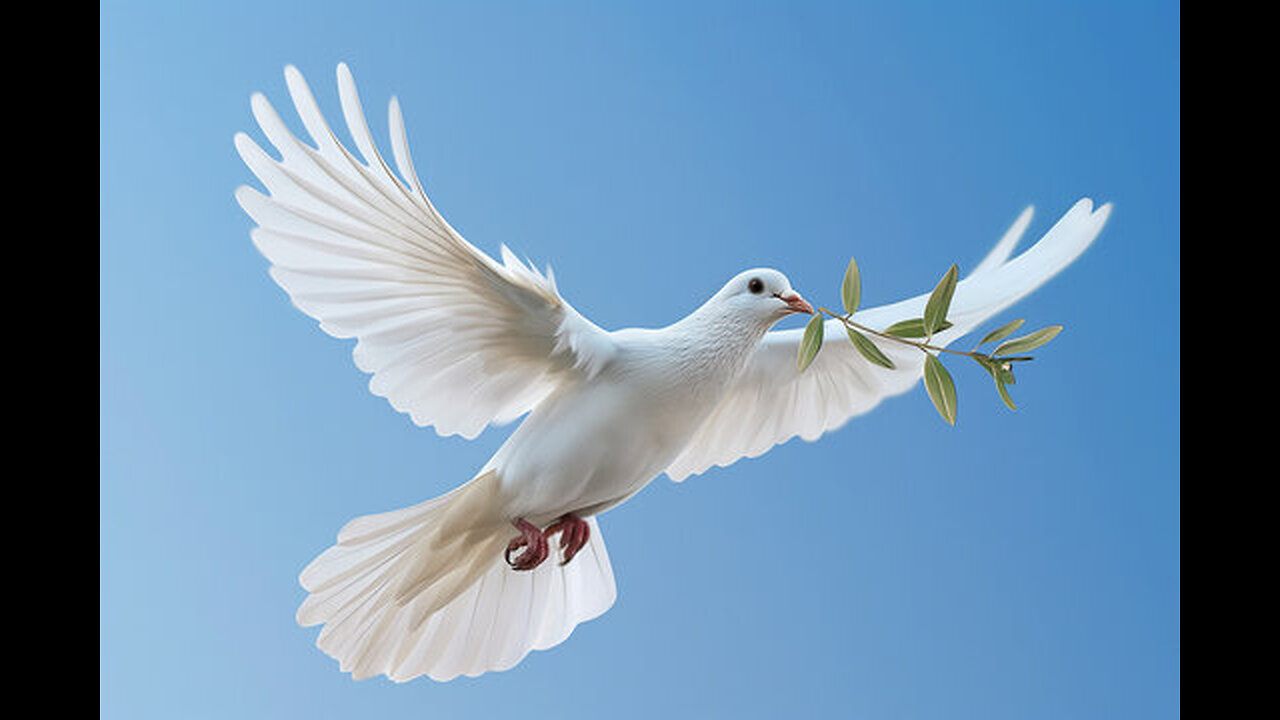 PEACE & LIGHT CONFERENCE -- MAKING THE WORLD A BETTER PLACE!