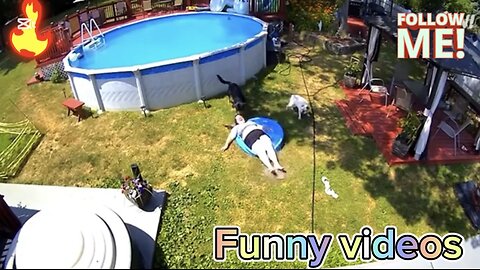 Caught in 4K! 😆 Funniest Security Camera Fails