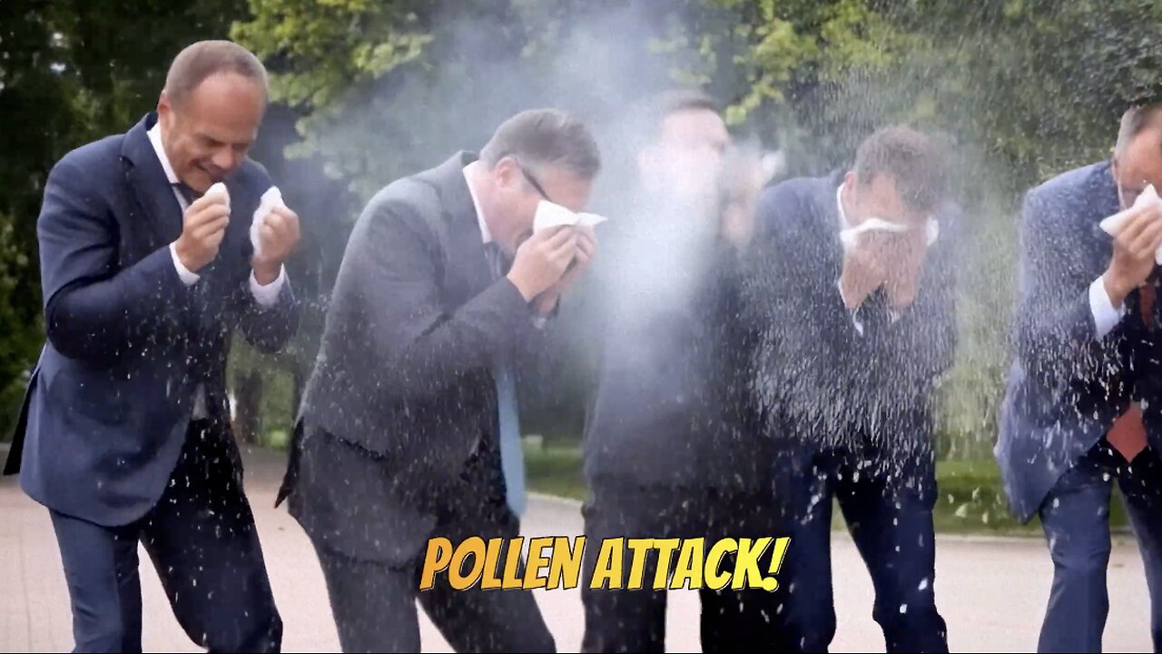 Attention, Les Pollens Attaquent !