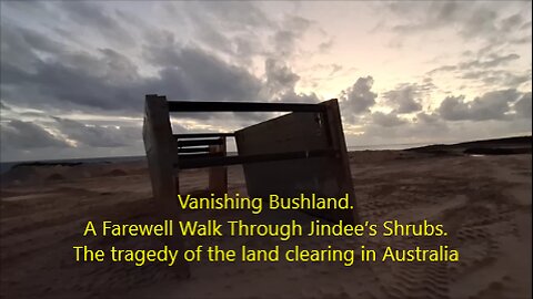 The Tragedy of Australia’s Disappearing Bushland. A Farewell Walk Through Jindee’s Shrubs