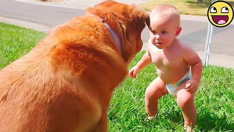 Cutest Moments Babies Meet Animals - Funny Baby and Pets Videos🥰🐑