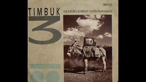 The Future's So Bright, I Gotta Wear Shades - TimBuk 3